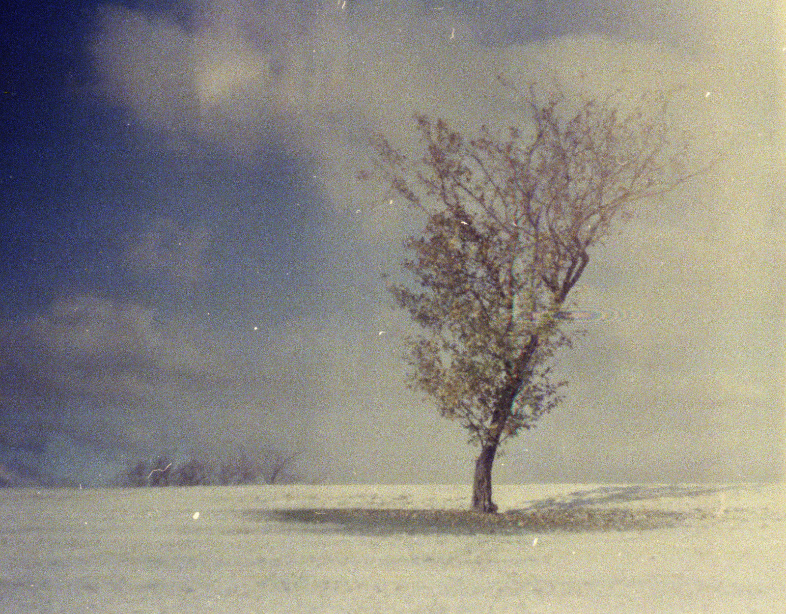 35MM, Abgelaufener Film, Filmfotografie, Zenite