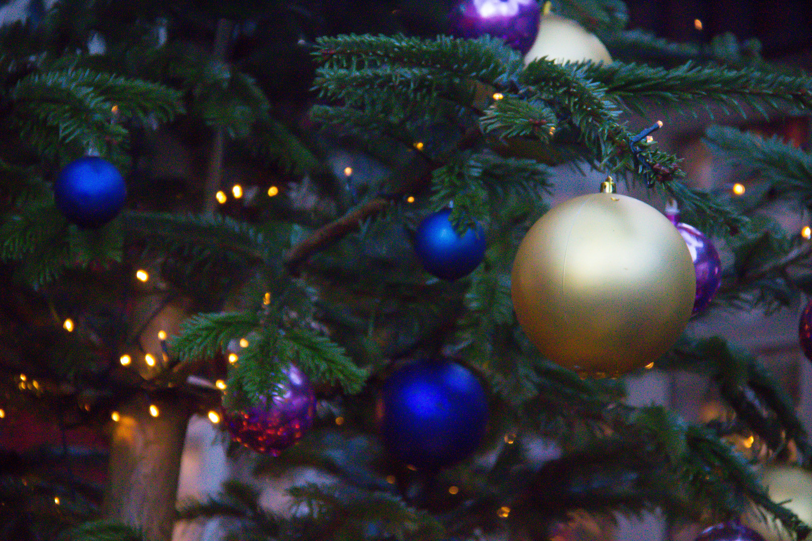 ramo, Albero di Natale, Natale, vacanza, luci di Natale, Danimarca, Copenhagen, leggero, albero, natale, luglio, Danmark, k penhamn, tivoli, kopenhavn, decorazione natalizia