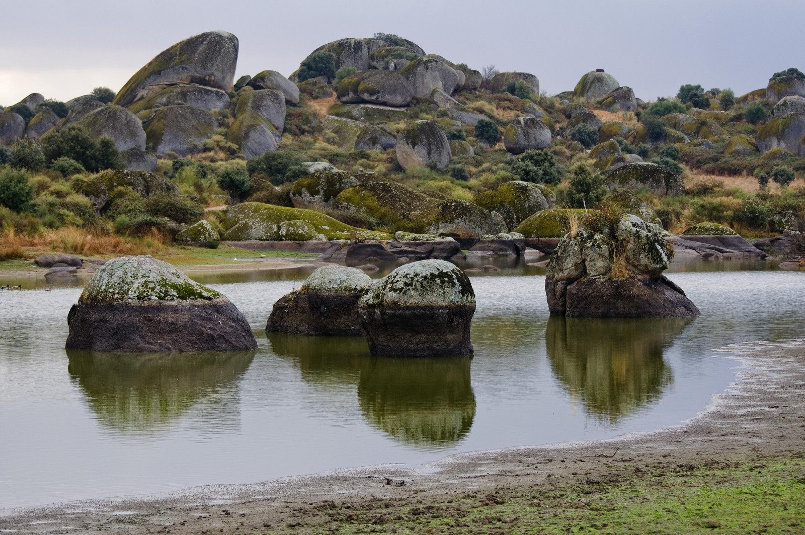 riflessione, natura, acqua, natura selvaggia, riserva naturale, roccia, albero, lago, paesaggio, Banca, serbatoio, erba, montagna, zone umide, cielo, lago, laghetto, stagno, fiume, costa, Parco Nazionale