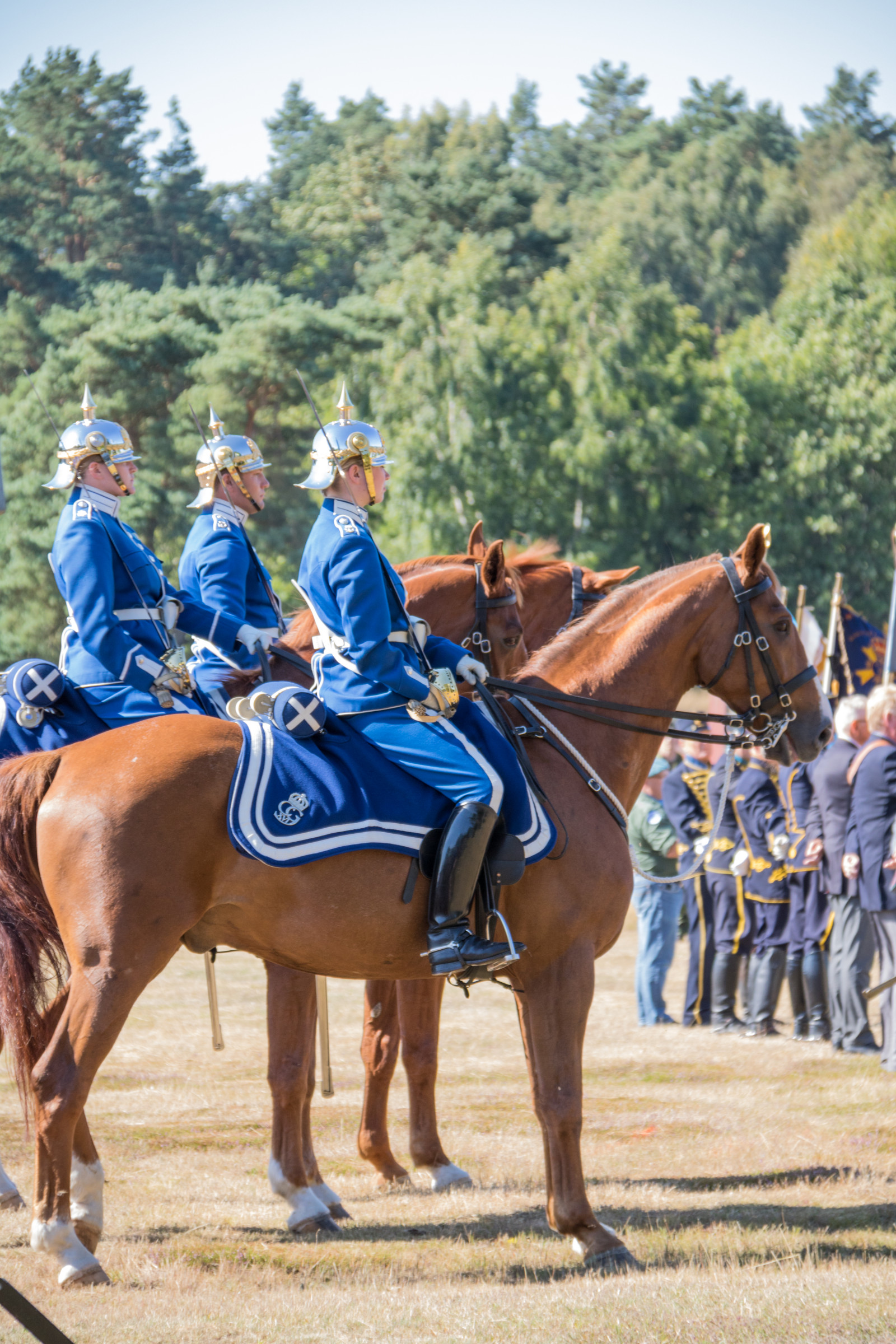 sport, hest, militær, væddeløb, jockey, milit r, festival, h st, djur, revingehed, p7, ragementetsdag, animla, hoppe, ridning, dyr sport, hest som pattedyr, hestesport, trail ridning, pack dyr, westernridning, udholdenhed ridning, military, hest seletøj
