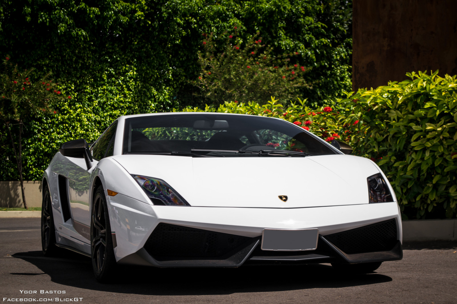 Černá, ulice, auto, vozidlo, fotografování, Lamborghini, Lamborghini Gallardo, sportovní auto, Lamborghini Murcielago, technologie, Brazílie, Brasil, kupé, výkon auta, Superleggera, Gallardo, kolo, lago, kokos, okraj, tělo, superauto, df, parque, lp5704, Brasilia, sul, lp570, pozemní vozidla, automobilového designu, automobilový exteriér, závodní auto, luxusní vůz, kompaktní vůz, motorové vozidlo, výkonné auto, městské auto, světlomet, auto part, icone, automotive Lighting, Bambu, Akademií, Bodytech, automotive wheel system