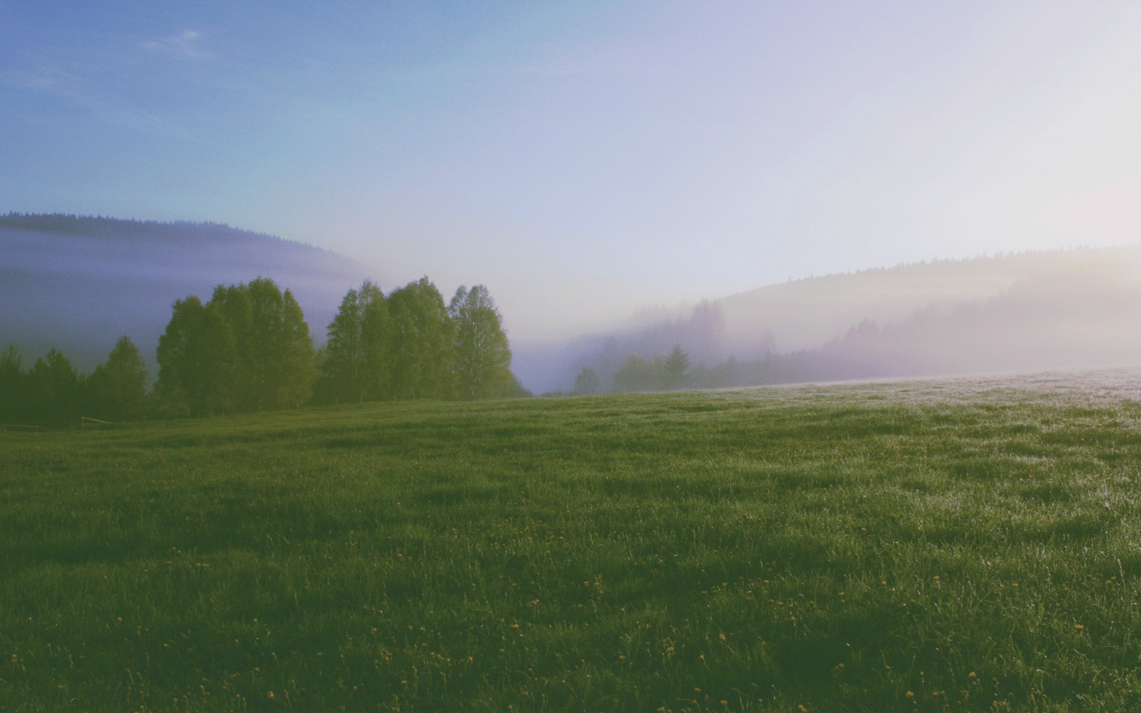 slunečnímu záření, krajina, květiny, kopec, Příroda, tráva, nebe, pole, svítání, zelená, ráno, mlha, horizont, plošina, step, mrak, strom, mlha, hora, počasí, svítání, lučina, pastvina, louka, prostý, 1920x1200 px, prérie, venkov, místo výskytu, přírodní prostředí, atmosférický jev, Atmosféra Země, horských reliéf, geografický rys, ekosystém, pohoří, tráva rodina