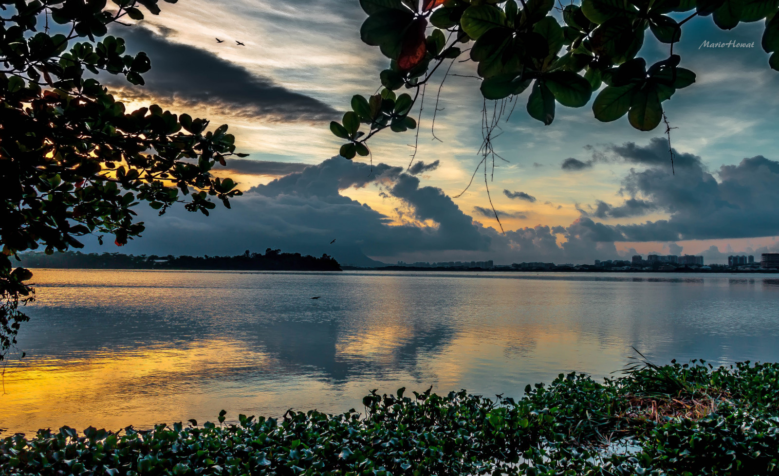 sollys, landskab, solnedgang, hav, sø, vand, natur, afspejling, himmel, solopgang, aften, morgen, horisont, skumring, Brasilien, Brasil, Sky, træ, efterår, blad, blomst, daggry, plante, natureza, Rio de Janeiro, computer tapet, vedplante, arecales, Alvorada, nascerdosol, lagoademarapendi, lagoadabarra, lagoadejacarepagu, lagoasdoriodejaneiro, lagoadecamorim