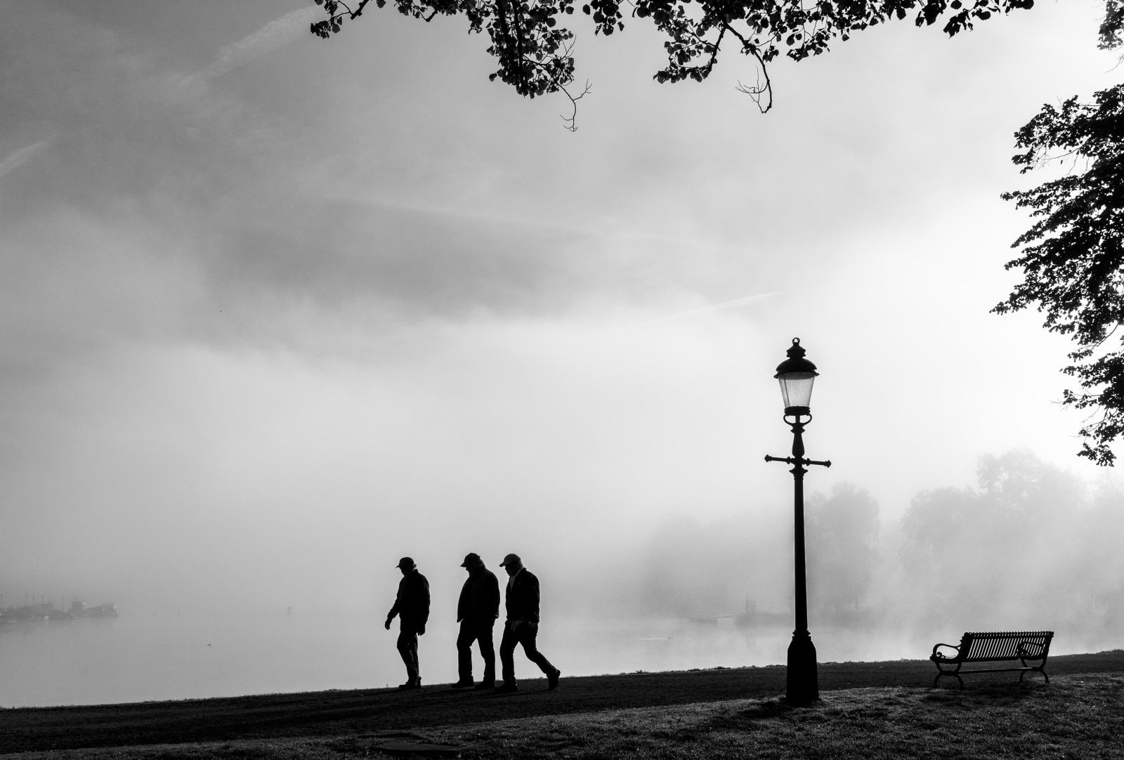 landskab, gadebelysning, monokrom, himmel, fotografering, silhuet, berolige, aften, morgen, tåge, horisont, atmosfære, Stockholm, Sverige, Sverige, Sky, træ, efterår, tåge, DIMMA, vært, sort og hvid, monokrom fotografering, meteorologisk fænomen, fænomen, stockholmsl n, Djurgården, menincaps, stock photography