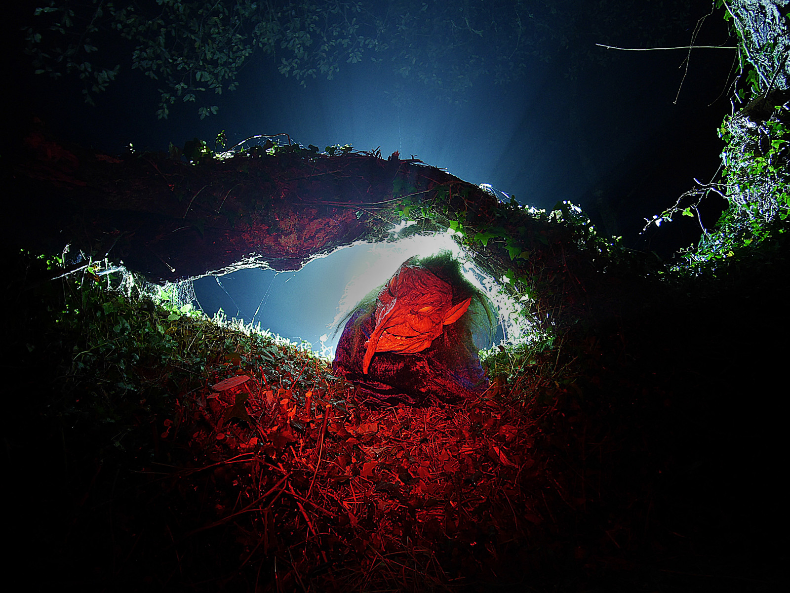 Příroda, Červené, tma, světlo, noc, list, nebe, atmosféra, jev, osvětlení, strom, voda, krajina, počítač tapeta, zvláštní efekty, svět, Země, půlnoc