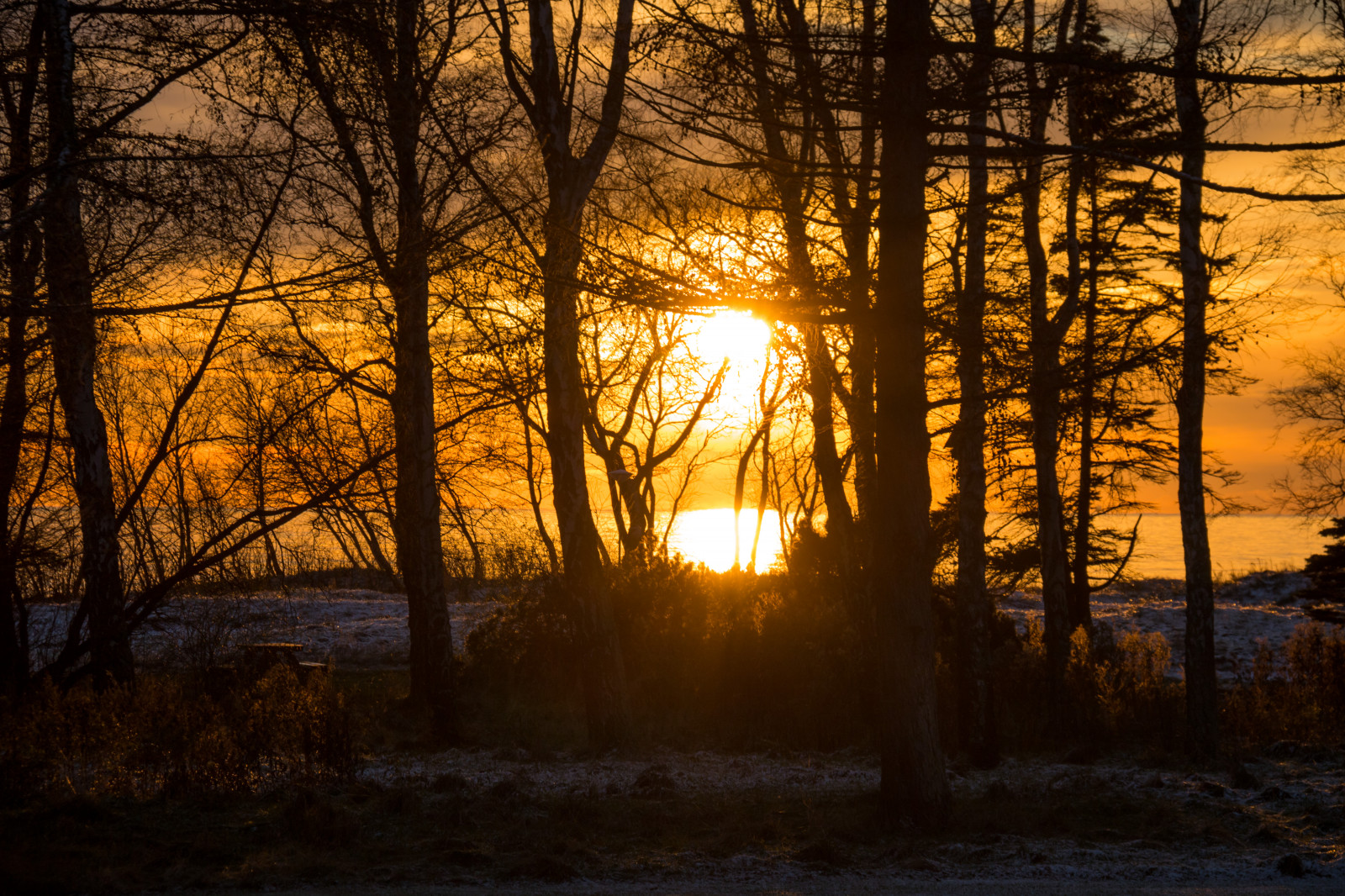 slunečnímu záření, les, západ slunce, moře, Příroda, odraz, nebe, sníh, zima, větev, svítání, večer, ráno, mlha, slunce, soumrak, slunce, světlo, mrak, strom, podzim, svítání, rostlina, sezóna, nebe, solnedg ng, Vinter, tr d, hav, moln, exif modelu canoneos760d, geocountry, Kamera aby kánon, geocity, Model fotoaparátu canoneos760d, geostate, geolocation, EXIF čočka efs18200mmf3556is, exif aby kánon, EXIF isospeed 100, EXIF otvor 80, dalabadet, exif focallength 100mm, tma, sn flinga, zálesí, místo výskytu, přírodní prostředí, atmosférický jev, dřevina