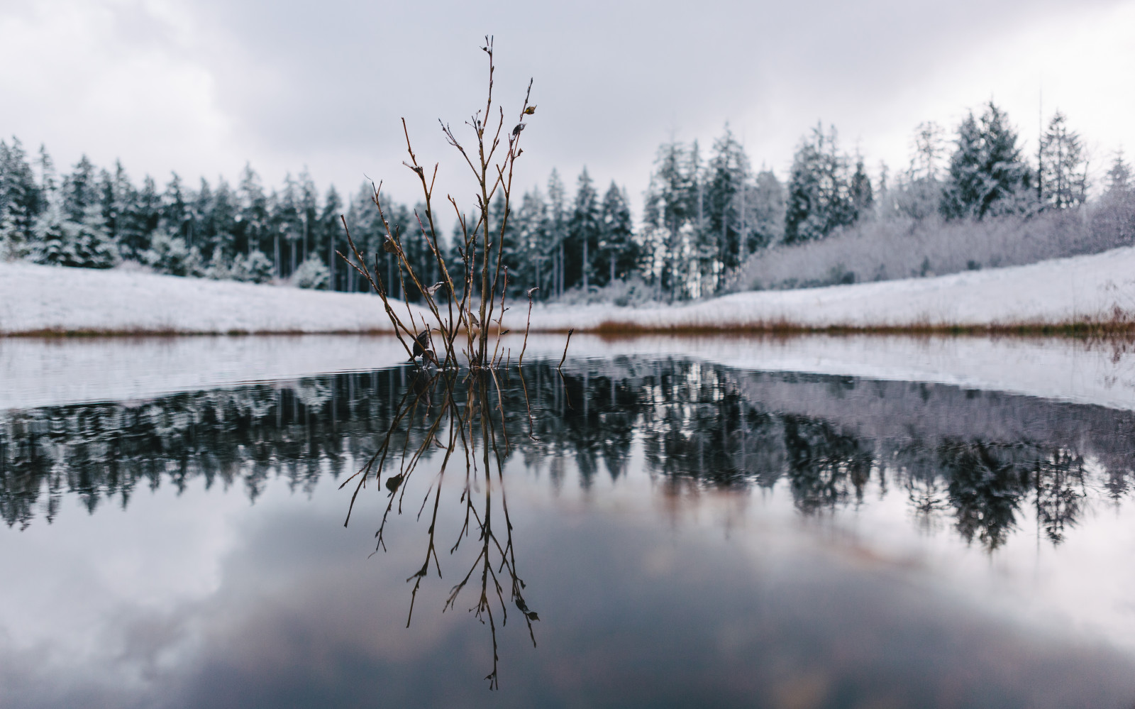 ต้นไม้, แนวนอน, ทะเลสาบ, น้ำ, ธรรมชาติ, การสะท้อน, ท้องฟ้า, กลางแจ้ง, หิมะ, ฤดูหนาว, สาขา, เงียบสงบ, เช้า, น้ำค้างแข็ง, แม่น้ำ, บรรยากาศ, บ่อน้ำ, ธนาคาร, การแช่แข็ง, พื้นที่ชุ่มน้ำ, เมฆ, ต้นไม้, วอชิงตัน, ยังคง, อ่างเก็บน้ำ, canoneos5dmarkiii, pacificnorthwest, ทะเลสาบ, johnwestrock, issaquah, dualiso, แหล่งน้ำ, canonef2470mmf28lusm