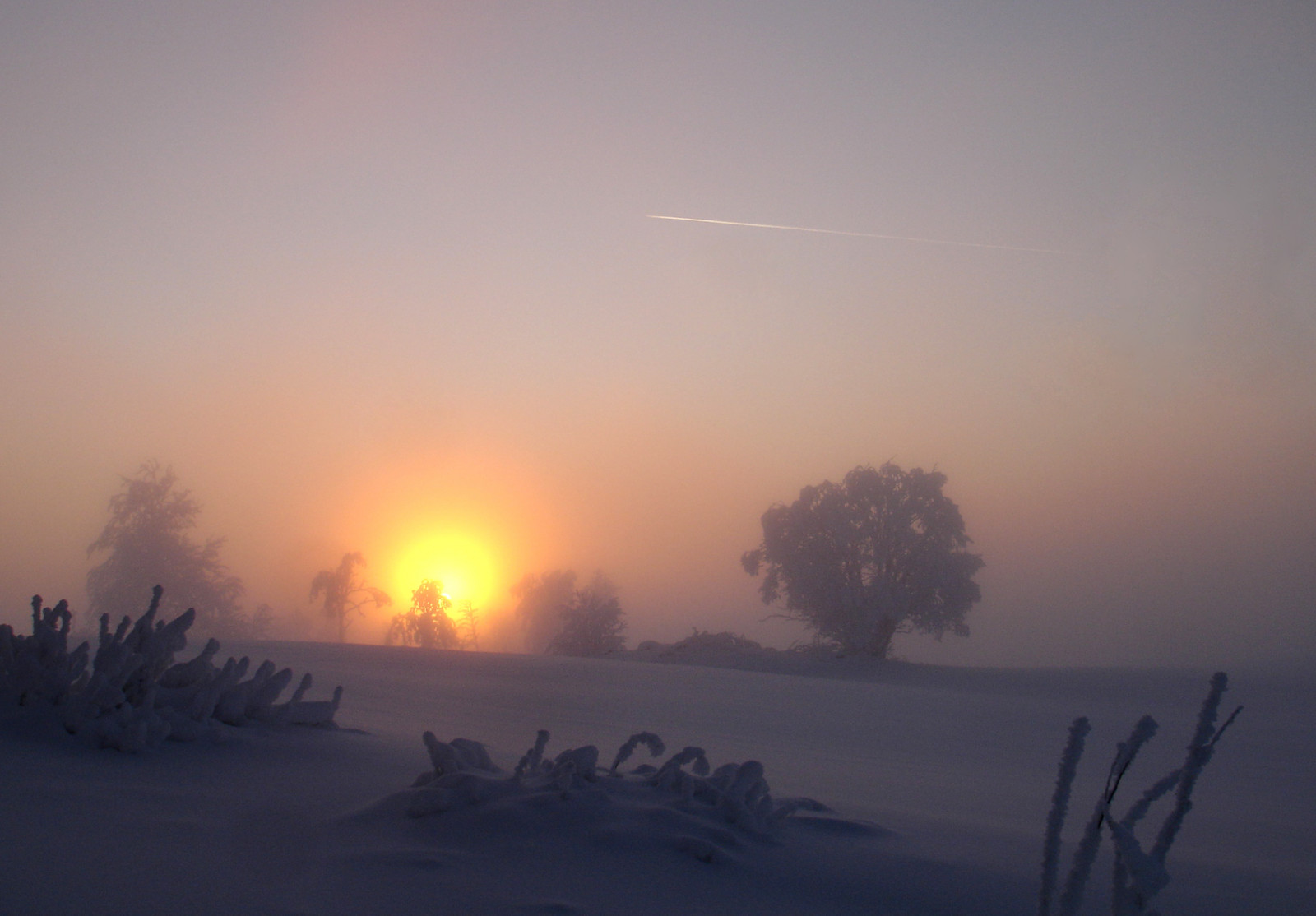 luce del sole, paesaggio, tramonto, cielo, la neve, inverno, Alba, calma, sera, mattina, nebbia, brina, Sole, orizzonte, atmosfera, Svezia, brina, Congelamento, 2008, albero, nebbia, alba, dicembre, Vinter, Gryning, rimfrost, mywinners, 5photosaday, alba, atmosfera della terra, fenomeno geologico, fenomeno, scintillio, freddezza, whitefrost, j mtland, Soluppgang, Raftsj h jden