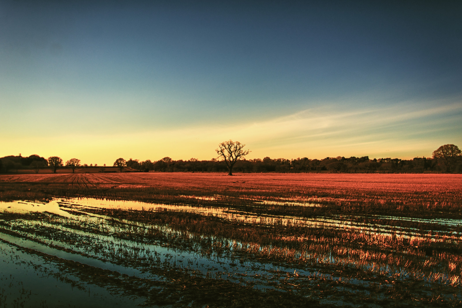 Nikon, nikond7100, Příroda, nikonphotography, přírodní, večer, D7100, vzdálenost, odrazy, venkovský, voda, horizont, louže, modrý, žlutý, oranžový, mimo, venku, venkovní, Anglie, eastridings, Yorkshire, venkov, země, barvy, barvy, hnědý, stromy, strom, tamron1024mm, Tamron, iratebadger, obraz, ISO100, Spojené království, project365