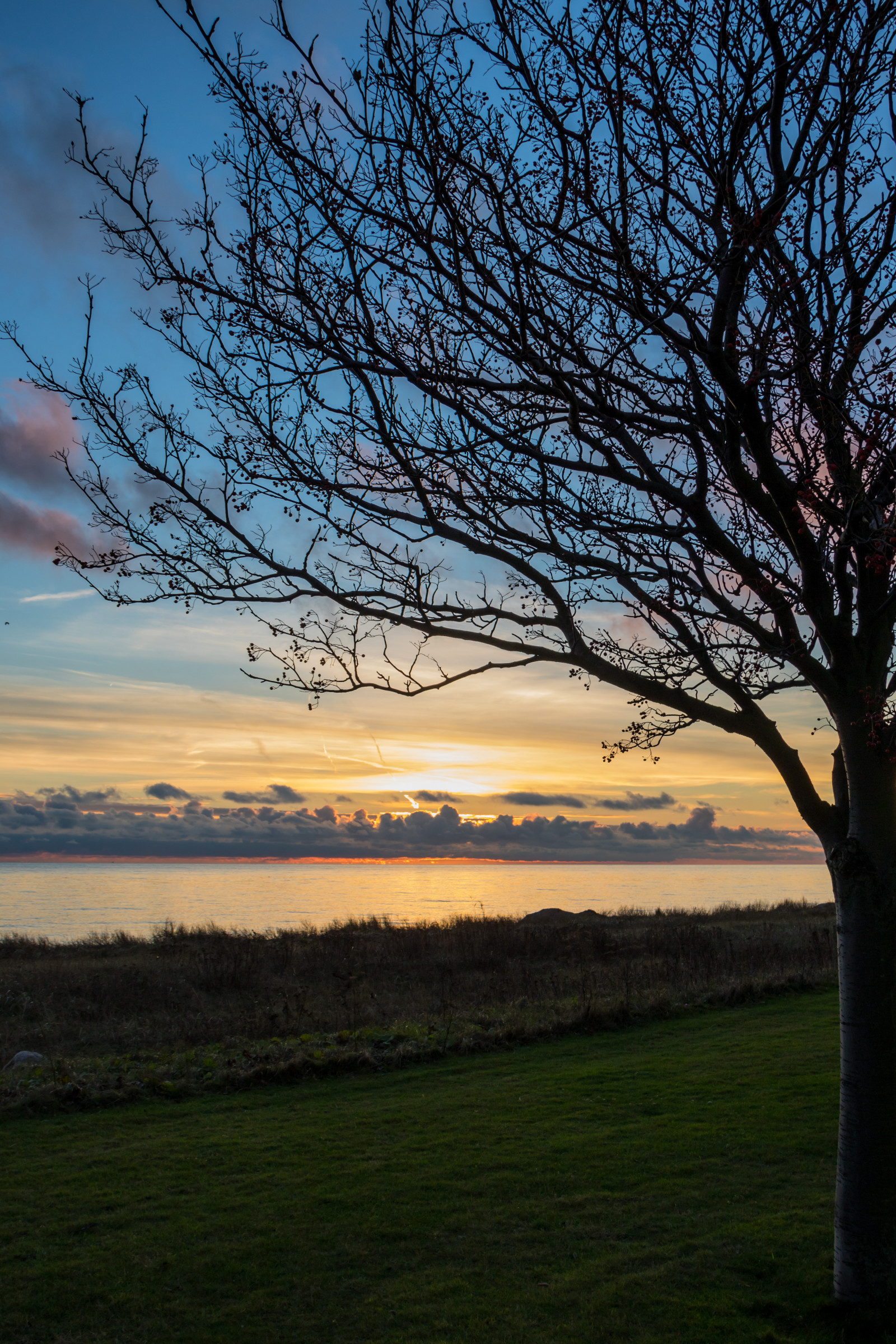 Sonnenlicht, Landschaft, Sonnenuntergang, Meer, Hügel, Natur, Betrachtung, Gras, Himmel, Feld, Ast, Sonnenaufgang, Abend, Morgen, Küste, Horizont, Dämmerung, Wolke, Baum, Herbst, Blatt, Blume, Dämmerung, Pflanze, Himmel, Solnedg ng, Tr d, Hav, Geschmolzen, Trelleborg, Kust, Exif Modell canoneos760d, Geocountry, Kamera macht canon, Geocity, Kameramodell canoneos760d, Geostate, Geolocation, Exif linse efs18200mmf3556is, Exif machen canon, Exif isospeed 100, Exif Blende 71, Exif focallength 24mm, ländliches Gebiet, Atmosphärisches Phänomen, Holzige Pflanze