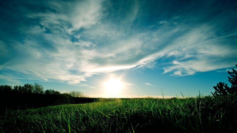 sunlight, sunset, nature, grass, sky, field sunlight, sunset, nature, grass, sky, field