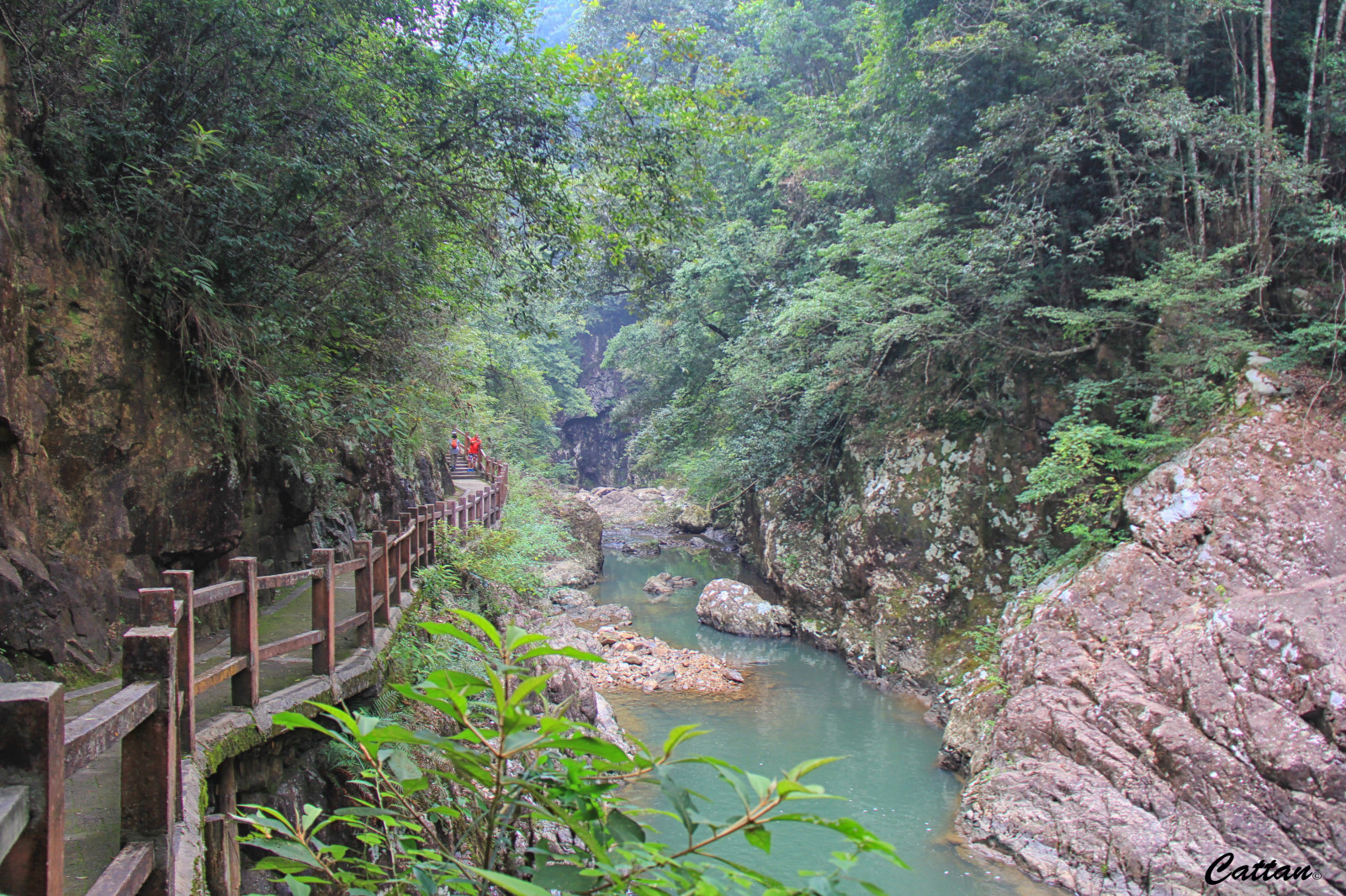 landskab, Skov, bjerge, Kina, vand, klippe, natur, flod, Nationalpark, jungle, strøm, regnskov, kløft, naturreservat, slugt, træ, rejse, plante, vandskab, vandløb, landscapephotography, vegetation, bæk, travelphotography, naturephotography, mountainscape, biom, geologisk fænomen, hill station, gamle vækst skov, vand funktion, state Park, travelblogger, traveltuesday, natureperfection, vandløbet, Arroyo, vandressourcer, biflod, sanbaishan, riparian zone, valdivian temperate rain forest