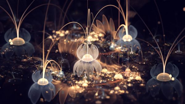 night,abstract,water,space,fractal,fractal flowers