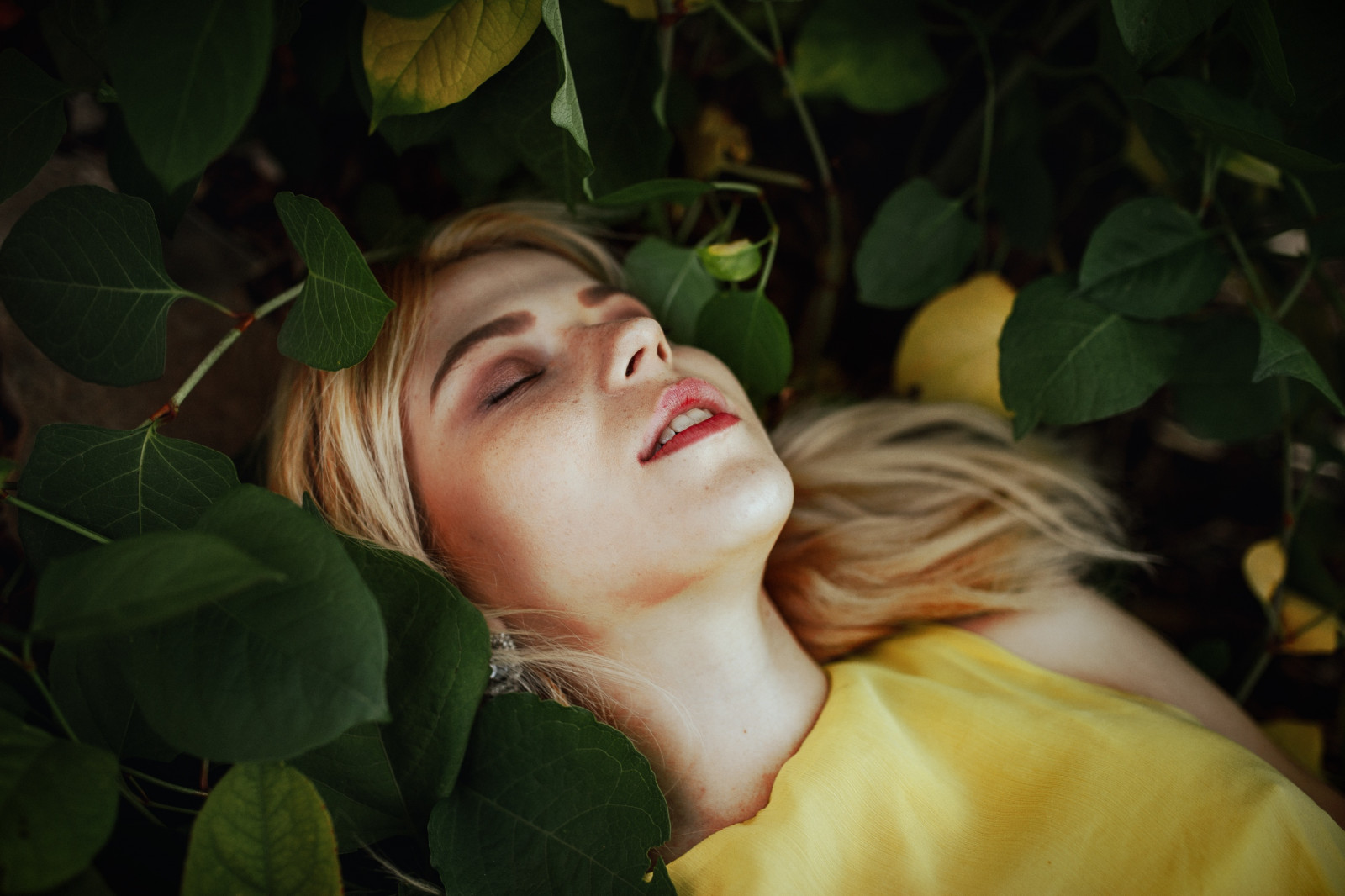 ผู้หญิง, สีบลอนด์, โมเดล, กลางแจ้ง, ใบไม้, พืช, แต่งตัว, ชุดสีเหลือง, นอนอยู่ข้างหลัง, ปิดตา, bokeh, ผู้หญิงนอกบ้าน
