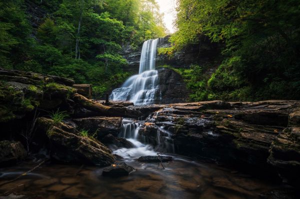 Wasser,Pflanze,Natural landscape,Baum,Natur,fluvial landforms of streams