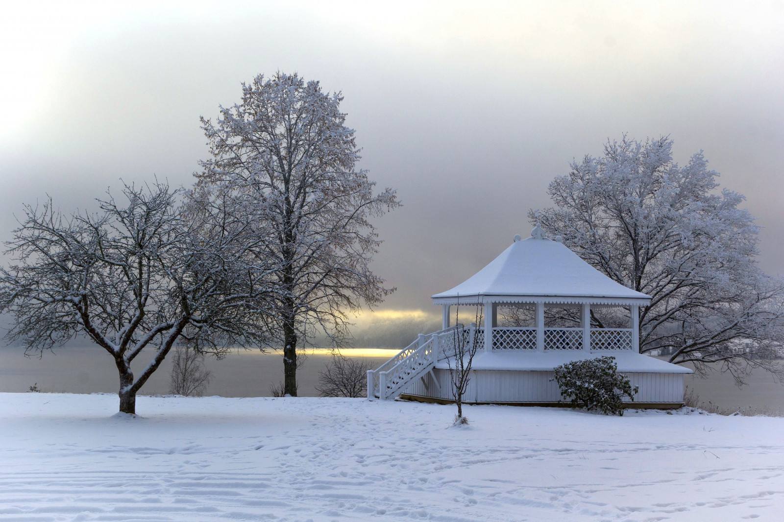 sníh, zima, ráno, mráz, Švédsko, zmrazení, Sverige, altán, strom, počasí, sezóna, Nieve, Vinter, lusthus, vánice, neve, atmosférický jev, zimní bouře, Schweden, semiš, suecia, svezia, sno