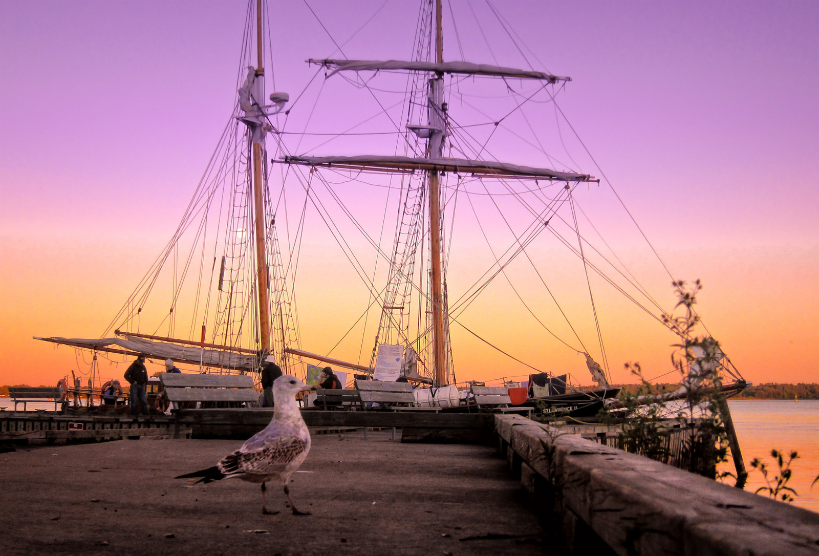 skib, båd, sejlskib, solnedgang, hav, sø, vand, himmel, berolige, aften, morgen, flod, dok, skumring, sejlads, havnefronten, Brigantine, fugl, ocean, måge, sejlbåd, fartøjer, mast, transport, bark, sejle, ostindiefarer, fuldrigger, linieskibet, galleon, brig, manila galleon, tall ship, skonnert, Windjammer, docket, Barkentine, nysgerrig, tallship, stlawrenceii, stlawrence2, baltimore clipper, first rate