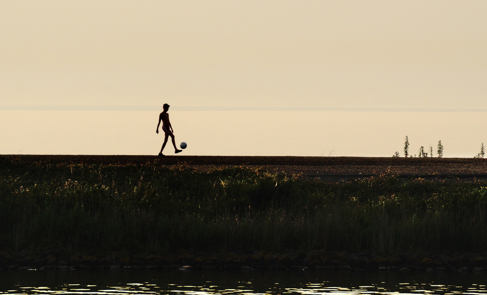 Sonnenuntergang, Meer, Wasser, Ufer, Gras, Himmel, Silhouette, Sonnenaufgang, ruhig, Abend, Morgen, Küste, Horizont, Niederlande, Fußball, Dämmerung, Holland, Licht, golden, Dämmerung, Ozean, Nederland, Licht, Zonsondergang, Sumpf, Ecoregion, Voetbal, Gouden, Markermeer