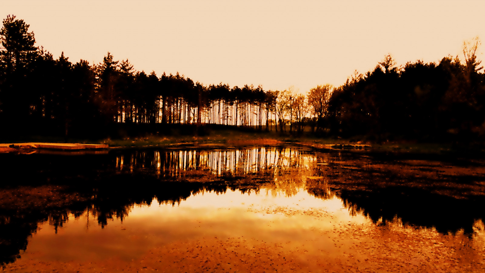odbicie, woda, Natura, Ciało wody, niebo, wieczór, jezioro, Bank, Mokradła, świt, rzeka, zmierzch, zachód słońca, ranek, drzewo, zalewisko, wschód słońca, noc, krajobraz, spokojna, horyzont