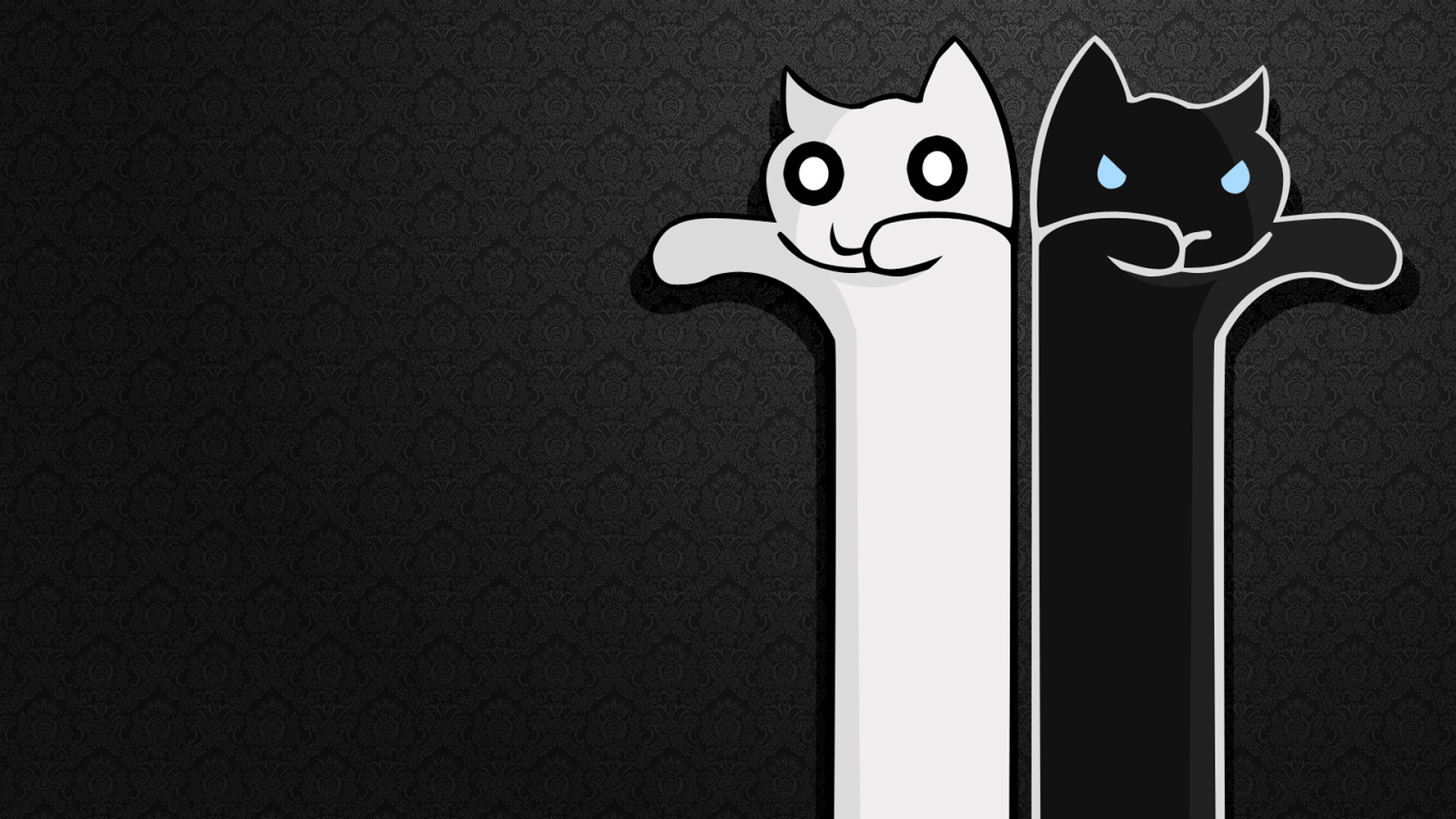 Minimalismus, Katze, Wallbase, Tiere, Kunstwerk