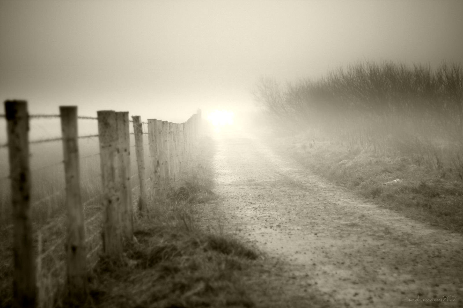 slunečnímu záření, krajina, černobílý, nebe, pole, fotografování, dřevo, svítání, Anglie, večer, ráno, mlha, sépie, horizont, atmosféra, mokrý, plot, Křoví, cesta, Spojené království, štěrk, Mono, světlo, mrak, strom, mlha, svítání, prozkoumat, prozkoumal, dráha, prostý, gb, Británie, canon50d, přední strana, andrewlee1967, andrewlee, Černý a bílý, monochromatické fotografování, vlhký, jev, ekoregion, scammonden, ef50mmf18, intothelight, stock photography