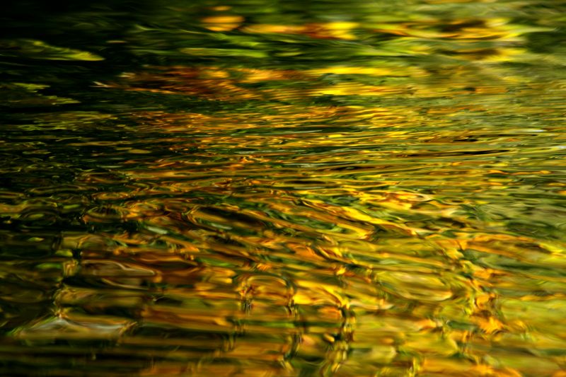 England,reflection,autumn,orange,brown,abstract