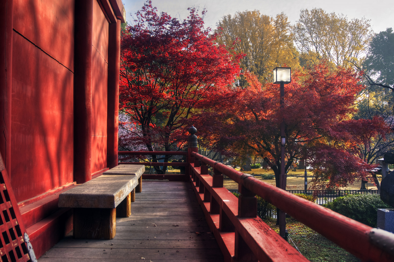 Japan, tempel, have, arkitektur, bygning, rød, parkere, væg, hus, bænk, HDR, buddhisme, Rå, Tokyo, farve, træ, efterår, dag, blad, blomst, traditionel, plante, udendørs, sæson, Ueno, fav200, Photomatix, nex6, 1xp, selp1650, qualityhdr, qualityhdrphotography, uenopark, buddhisttemple, traditionaljapan