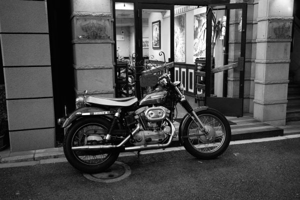 white, black, monochrome, street, car, bicycle