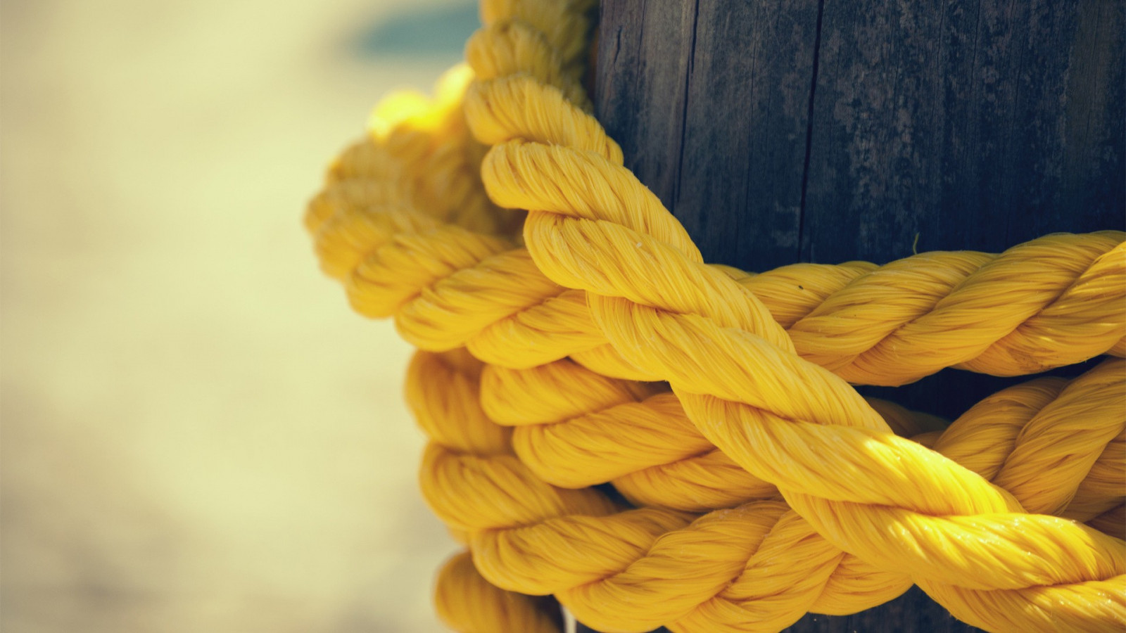 Yellow Rope Chunky Wallpaper : sunlight, food, depth of field, closeup, yellow, ropes ...