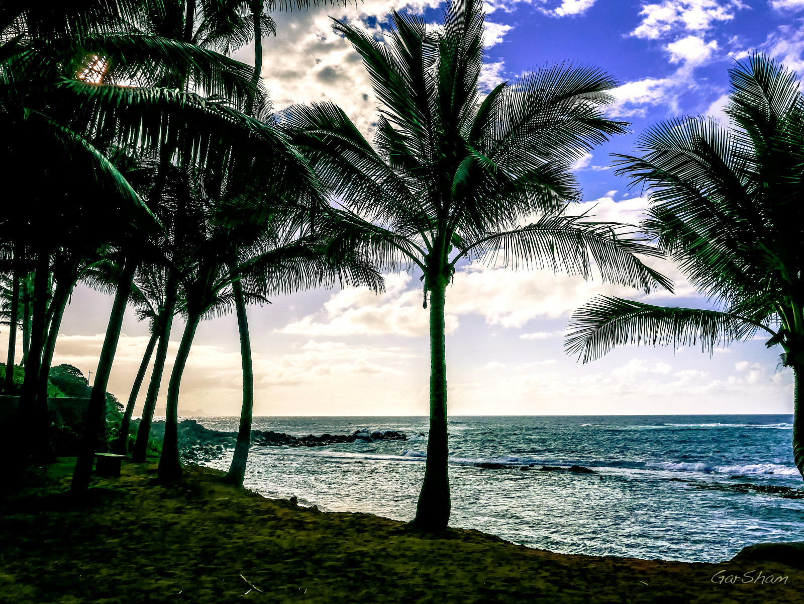 landskab, hav, vand, kyst, himmel, strand, aften, kyst, horisont, udvej, Hawaii, Caribien, ferie, Maui, pacific, Sky, træ, plante, ocean, Palmer, havet, troperne, computer tapet, krop af vand, arecales, Palme træ