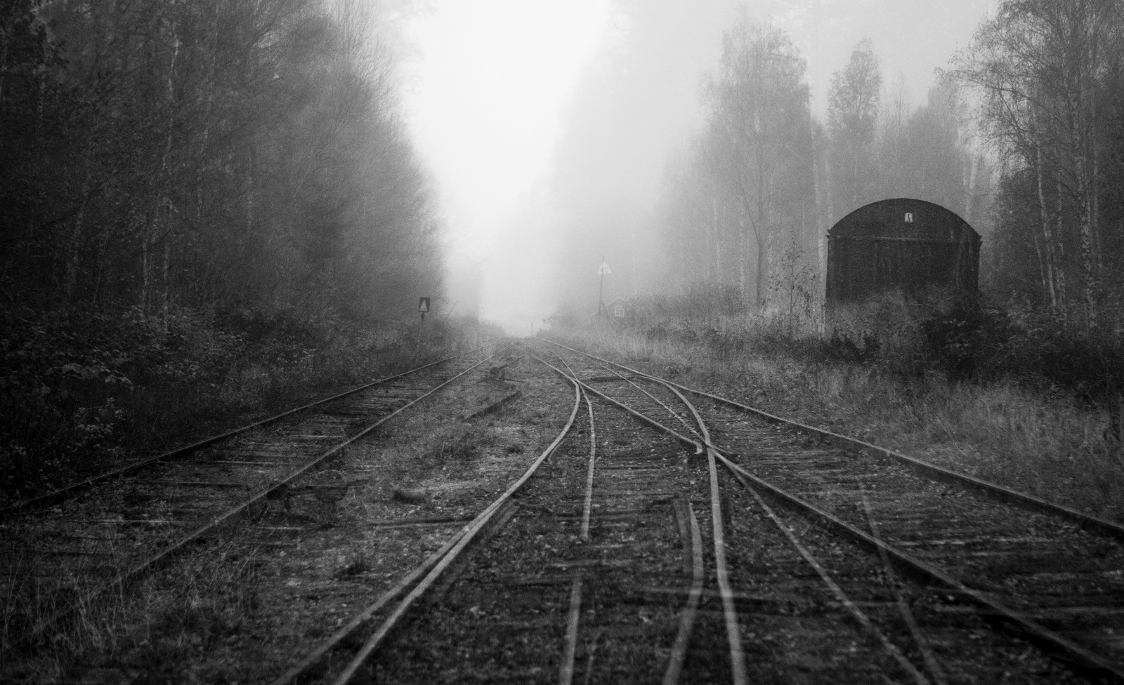 slunečnímu záření, krajina, les, černobílý, Příroda, opuštěný, nebe, fotografování, vlak, větev, nadreálný, ráno, mlha, doubleexposure, atmosféra, doprava, pocity, urbex, Černý a bílý, strom, vlaky, mlha, venkovní, tělesné, Černá bílá, rozmazat, dimma, natur, svartvitt, dráha, výtvarné umění, du, vzpomínky, sv RTA, annalarsson, vitastunder, abandonedplaces, štítek, ue, vy, Černý a bílý, monochromatické fotografování, železniční doprava, jev, vergivet, artphoto, kopat, frustrace, jednoúčelový, vergivnaplatser, girlbex, artofurbex, Dubbelexponering, K nslor, Bluresque, Do gnad, stock photography