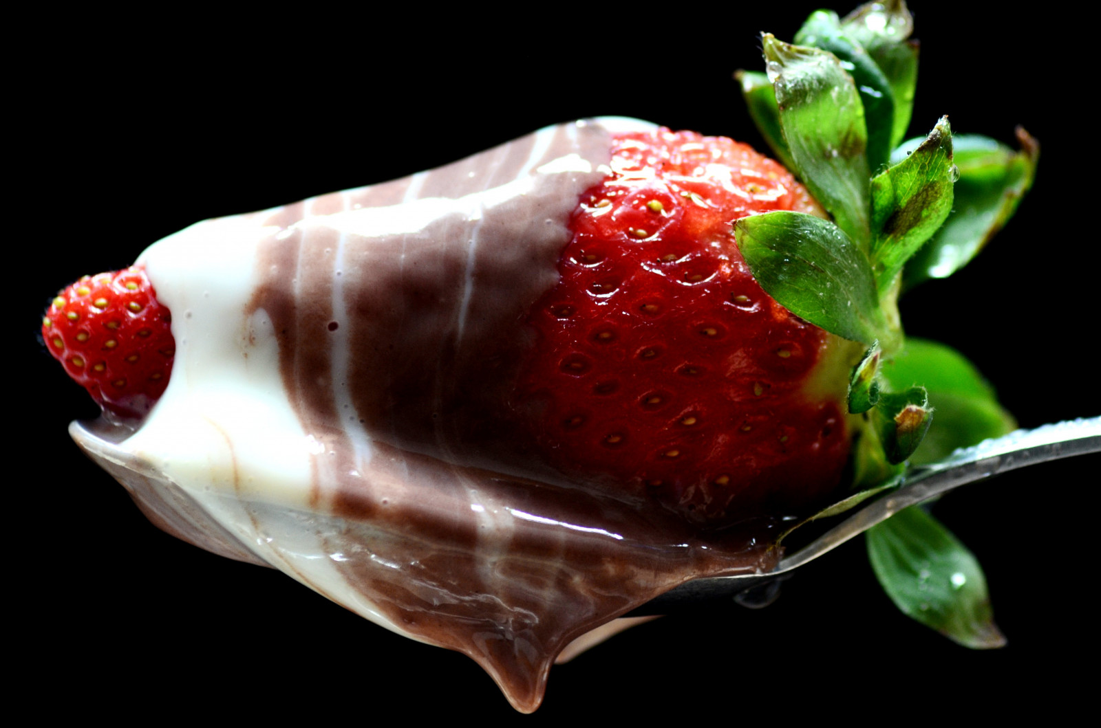 Červené, jahoda, pokušení, autofocus, blackbackground, makro, ovoce, zmrzlina, Kreativita, jíst, Černá, fragola, crema, Cioccolata, Erdbeeren, dezerty, podrobnosti, dettagli, Krém, cffaa