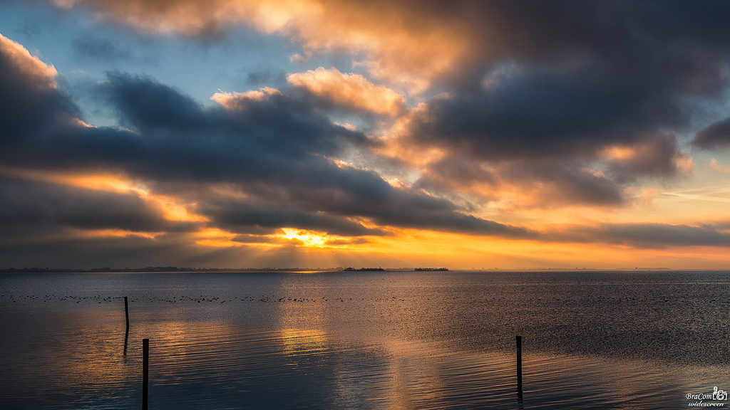 bracom, západ slunce, stožáry, Palen, zonsondergang, odraz, spiegeling, mrak, Wolk, nebe, voda, vlny, Golfjes, ptactvo, VOGELS, večer, Avond, sluneční paprsky, zonnestralen, nieuwetonge, battenoord, goereeoverflakkee, Grevelingenmeer, zuidholland, nederland, southholland, Nizozemí, Holandsko, canoneos5dmkiii, širokoúhlý, Kánon, 169, canonef24105mm, bramvanbroekhoven, nl