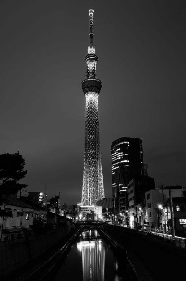 Japan, night, black, monochrome, city, cityscape