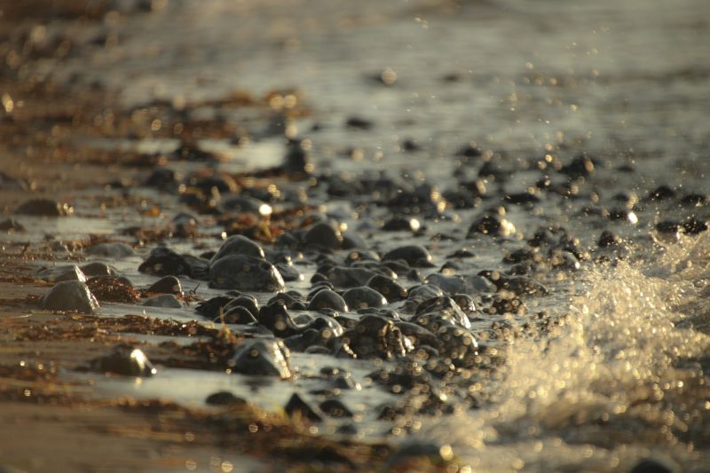 sunlight, water, rock, sand, depth of field, nature sunlight, water, rock, sand, depth of field, nature
