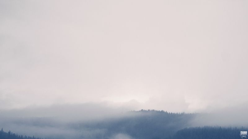 forest, sky, clouds, morning, mist, atmosphere forest, sky, clouds, morning, mist, atmosphere