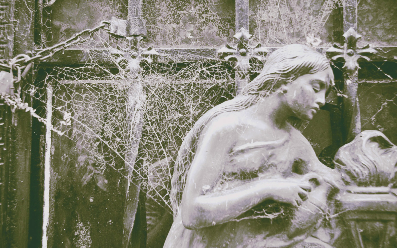 groază, zăpadă, iarnă, sculptură, statuie, păianjen, ARTĂ, pădure, botanică