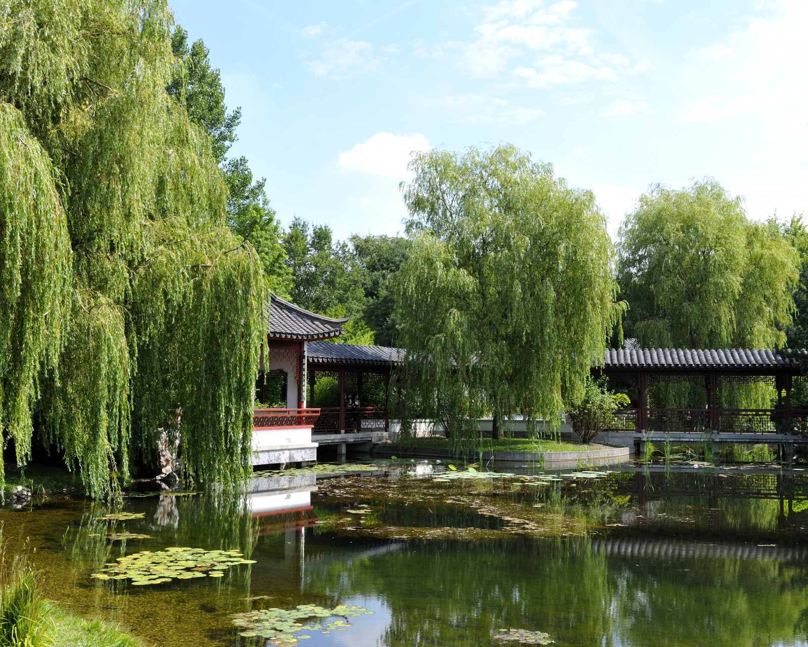 Wallpaper landscape, lake, water, nature, reflection, grass, park