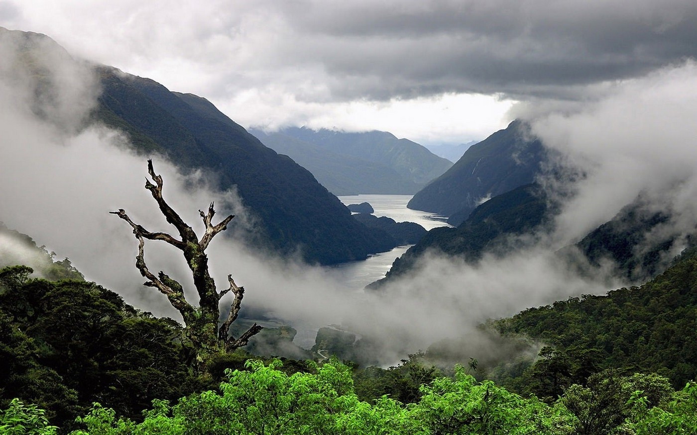 copaci, peisaj, pădure, deal, lac, natură, aburi, arbuști, fiord, vale, treci de munte, acoperit de nori, pustie, Alpi, platou, creastă, nor, Munte, vreme, ținut muntos, fenomen atmosferic, forme de relief muntoase, landform, caracteristică geografică, fenomen geologic, șir de munți, 1400x875 px
