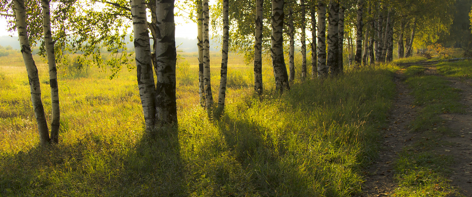 แสงแดด, ต้นไม้, แนวนอน, ป่า, ตก, ธรรมชาติ, ถนน, สีเขียว, เช้า, Canon, รัสเซีย, ซันนี่, ถิ่นทุรกันดาร, เส้นทาง, อบอุ่น, ไม้เรียว, มุมมอง, ภาคเหนือ, กันยายน, เบา, ต้นไม้, ฤดูใบไม้ร่วง, เดิน, ใบไม้, เดินเล่น, 24105l, ปลูก, ฤดู, ซอย, แดด, เส้นทาง, ความอบอุ่น, ทุ่งหญ้า, 600d, natura, autunno, ป่าไม้, สวน, sergeyponomarev, Kirov, Vyatka, Viatka, ถิ่นที่อยู่, สภาพแวดล้อมทางธรรมชาติ, ปรากฏการณ์บรรยากาศ, ไม้ยืนต้น, ระบบนิเวศ, ป่าสนอ้อมกอด, Biome, ป่ากว้างและป่าผสมผสาน, ผลัดใบ, เบิร์ช