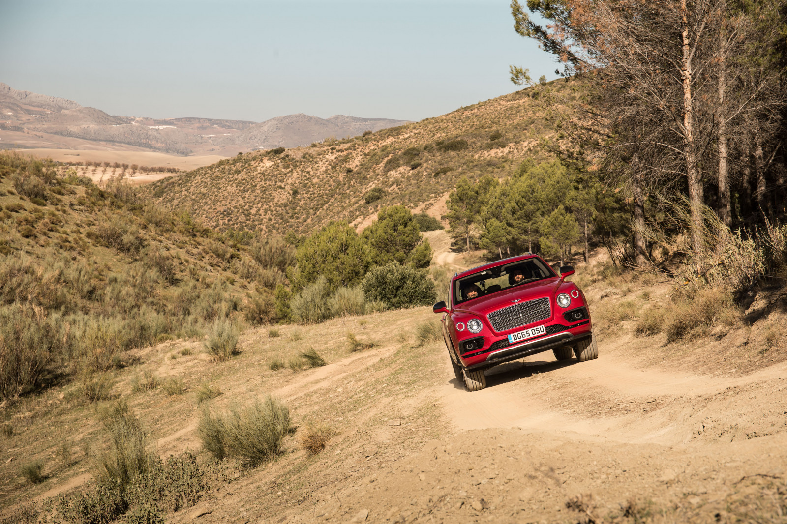 sportovní, vozidlo, Bentley, závodění, netcarshow, netcar, obrázky vozidel, photo auto, 2016, Bentayga, stezka, motorsport, půda, přírodní prostředí, auto závodní, shromažďovací, Mistrovství světa rally, off road