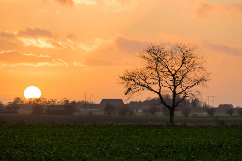 sollys, landskab, solnedgang, natur, himmel, Mark sollys, landskab, solnedgang, natur, himmel, Mark