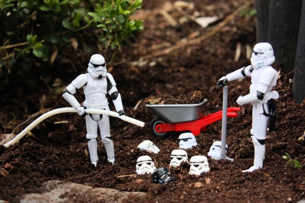 Toy,grass,soil