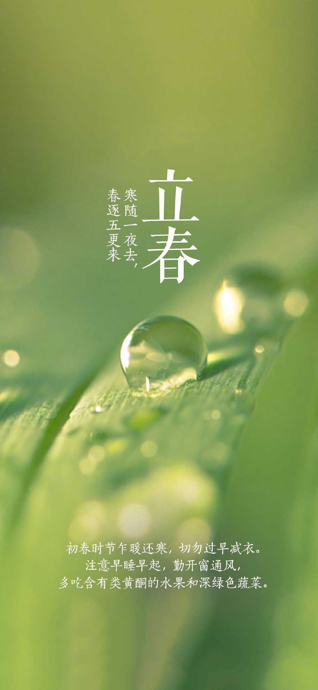 wallpaper-nature-lichun-vertical-seasons-chinese-flag-1024x2216