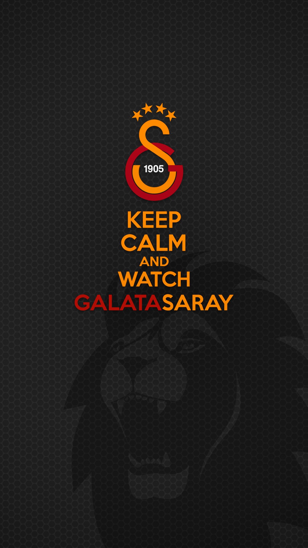 1080x1920 px, fotbalisté, Galatasaray S K, fotbal