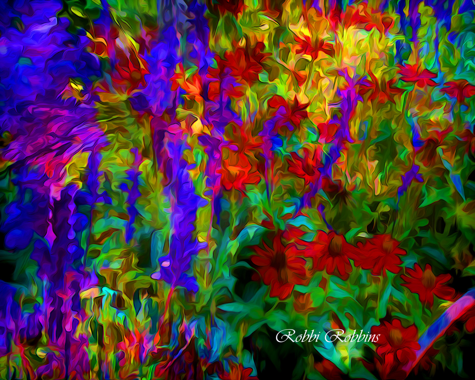 barvitý, Photoshop, květiny, zahrada, Příroda, koláž, fotografování, letní, květinový, barva, podzim, list, květ, rostlina, flóra, Topas, divoká rostlina, photmanuplation, suchozemská rostlina, kvetoucí rostlina, keř, jednoletá rostlina, psychedelické umění