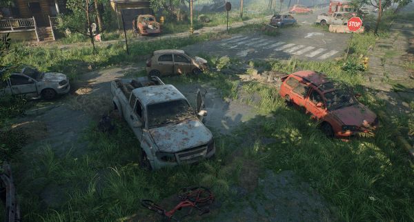 car,vehicle,land vehicle,tire,plant,wheel