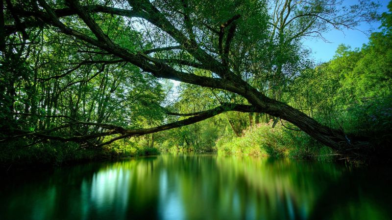 slunečnímu záření, stromy, krajina, les, voda, Příroda slunečnímu záření, stromy, krajina, les, voda, Příroda