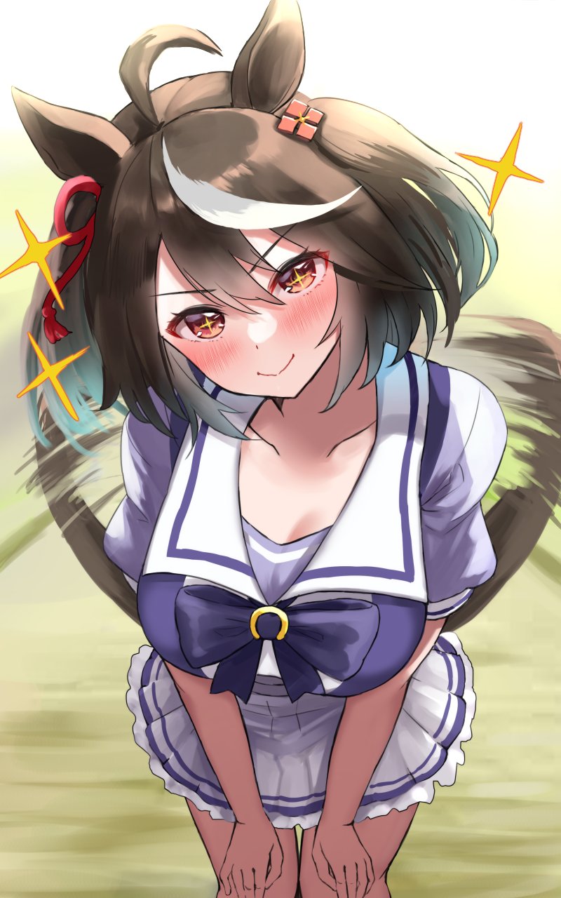 anime, anime dívky, Uma Musume Pretty Derby, horse girls, zvířecí uši, Kitasan Black Uma Musume, krátké vlasy, černé vlasy, sólo, umělecká díla, digitální umění, fan art