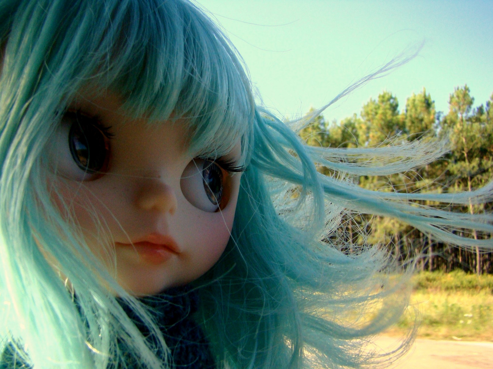 dlouhé vlasy, tráva, modrý, rty, pusa, panenka, Výpad, Zvyk, rýže, Duhovka, Boca, Blythe, dívka, oko, labios, řezba, člověk barva vlasů, zblízka, Olivia, vainilladolly, Aubrey, mayacomes